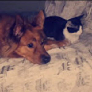 Meet your Posher, Matteo